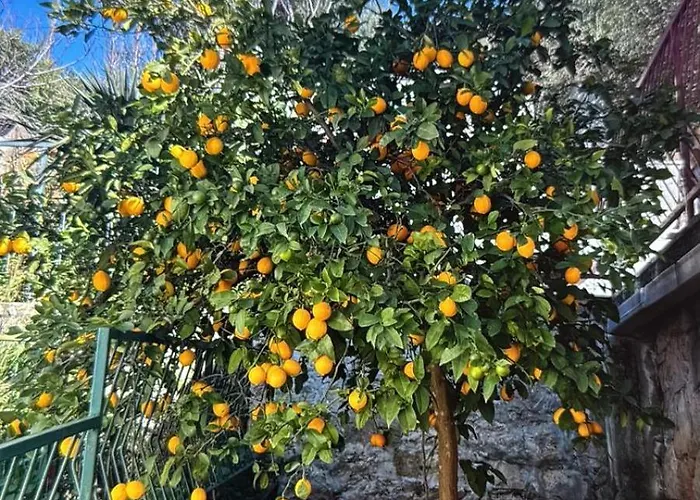 Apartment Vidovic -susy *